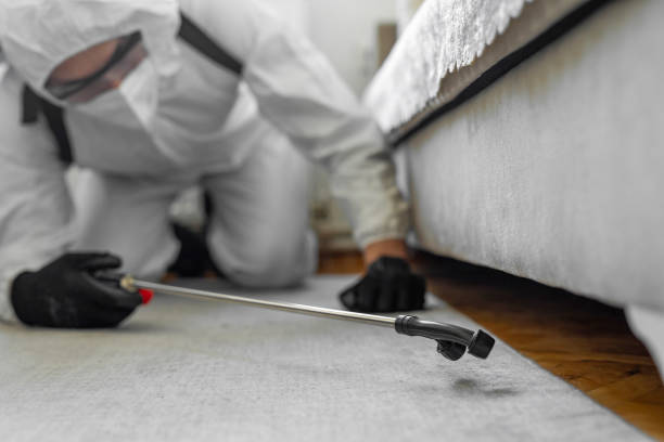 Professional Bed Bug Control technician working in Woodville, WI