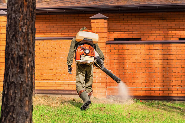 Trusted Mosquito Control service in Woodville, WI - Nex Pest Control